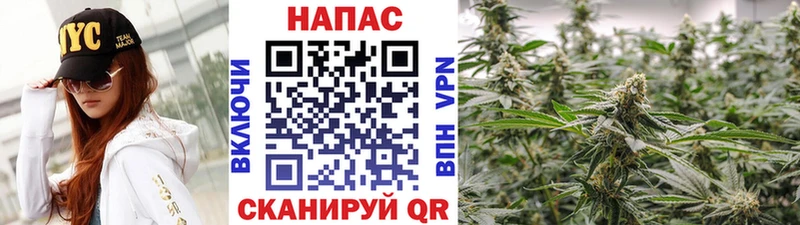 Купить наркотики сайты Курчатов Канабис  Меф  МЕТАДОН  ГАШ 