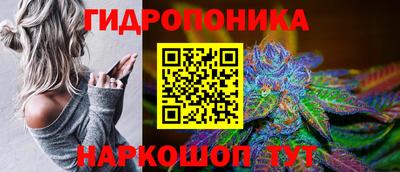 Альфа ПВП Канаш