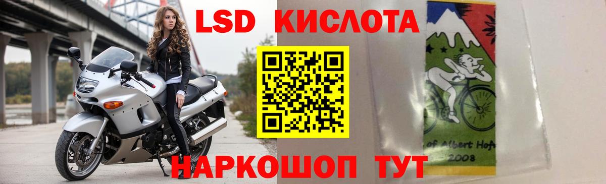 LSD-25 экстази  Вход с VPN  Курчатов  Лсд 25 экстази ecstasy 