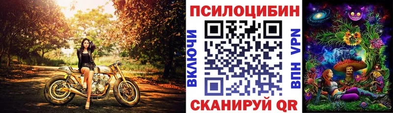 Псилоцибиновые грибы мицелий  KRAKEN ССЫЛКА  Курчатов 