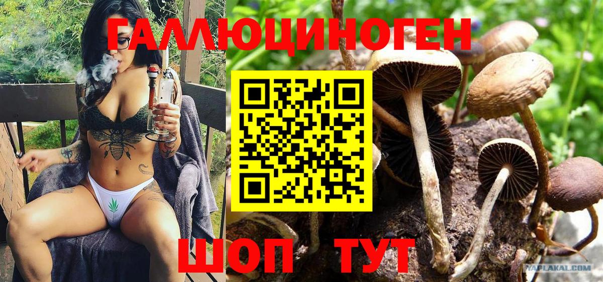 Псилоцибиновые грибы Magic Shrooms  магазин    Вход с VPN  Курчатов  Галлюциногенные грибы GOLDEN TEACHER 
